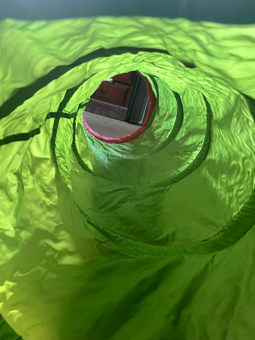Collapsible Play Tunnel for pets - photo 2