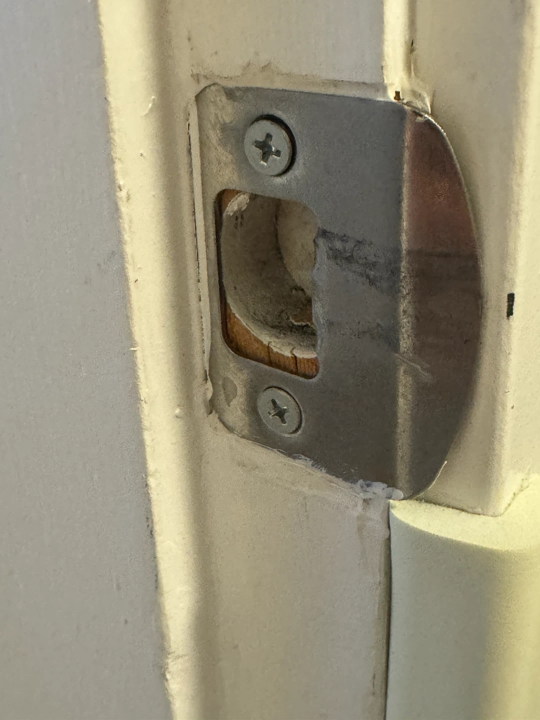 Door Hinge and Latch Plate - photo 2