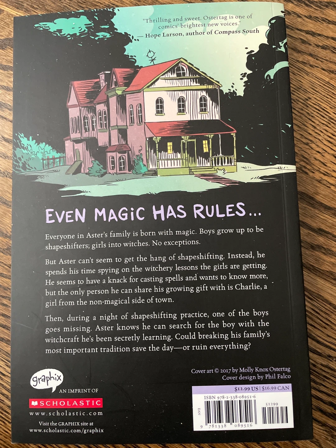 The Witch Boy Graphic Novel by Molly Knox Ostertag - photo 2