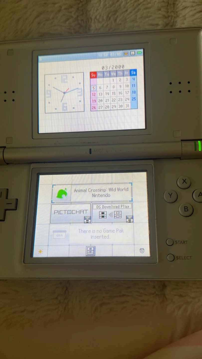 Animal Crossing: Wild World for Nintendo DS - photo 3