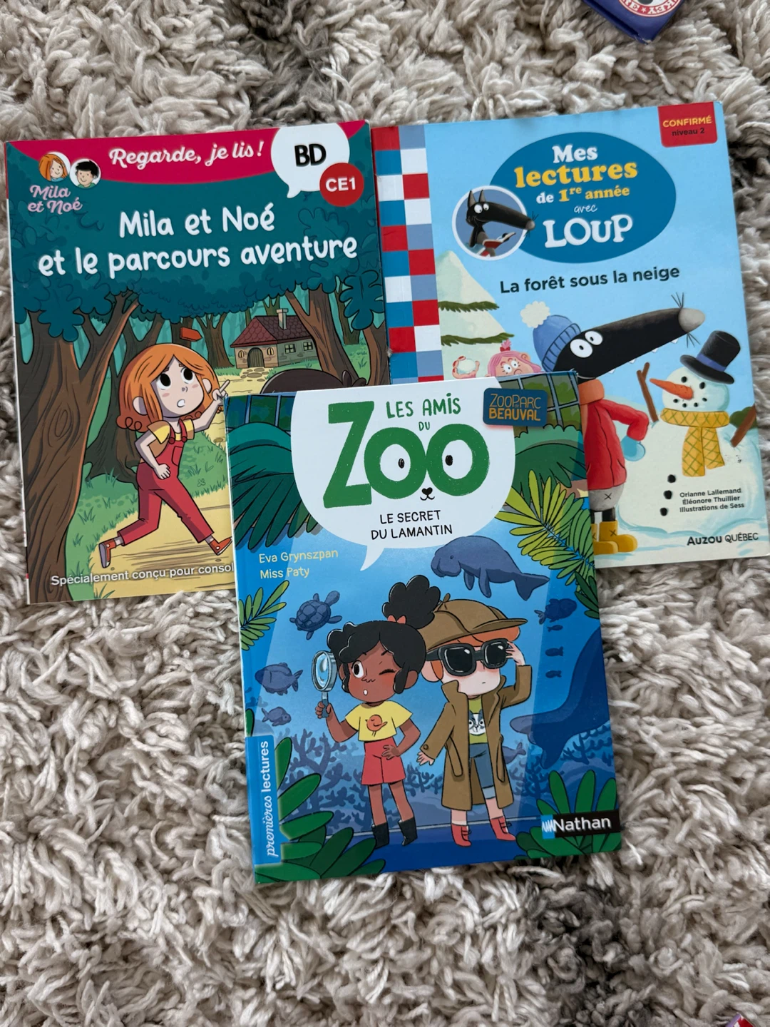 French books