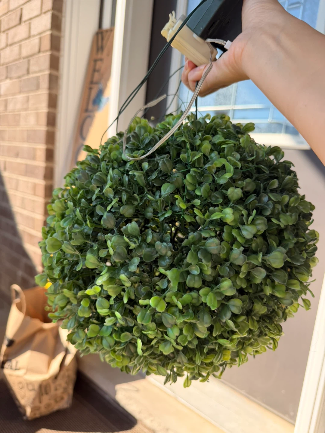 Hanging Boxwood Ball Topiary