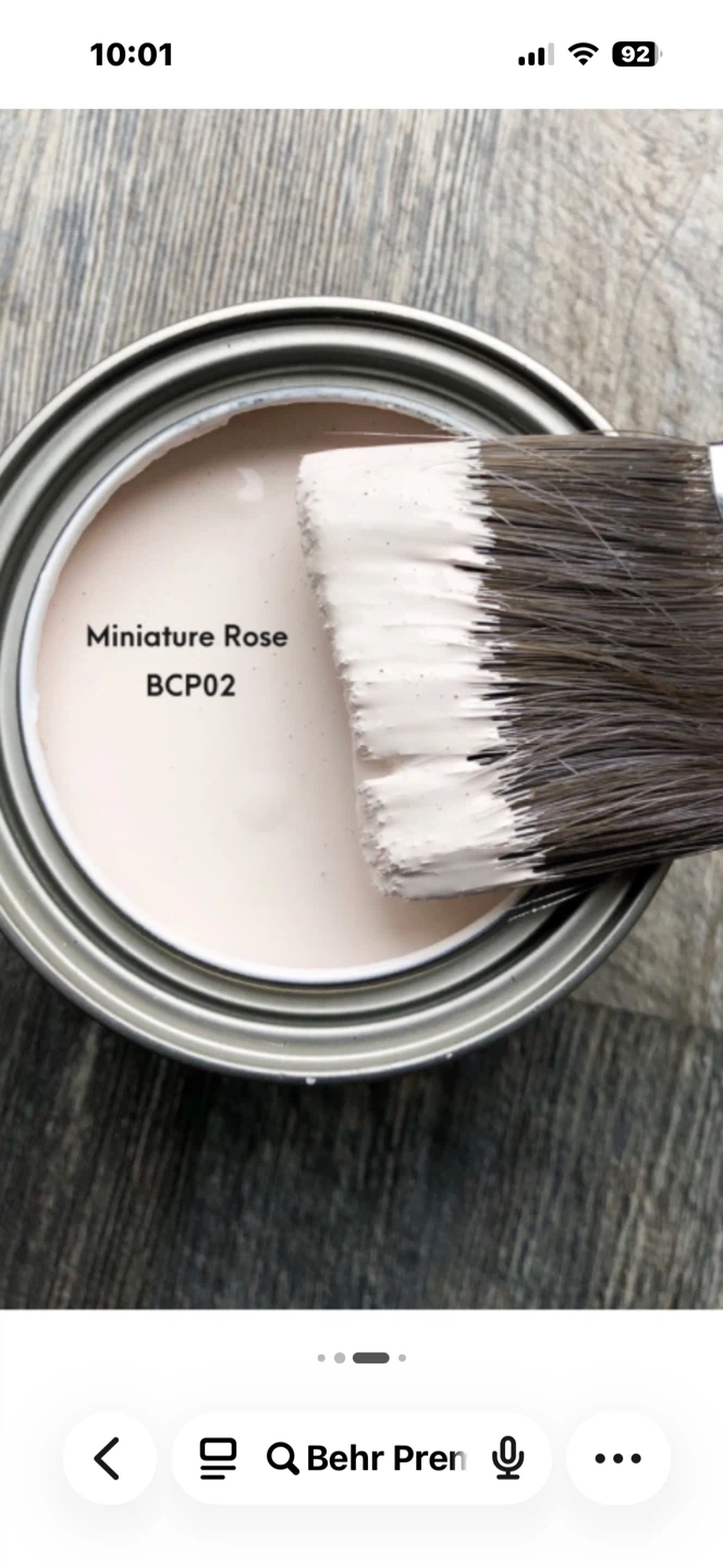 ISO - Behr Premium Chalk Paint in Miniature Rose Colour - photo 2