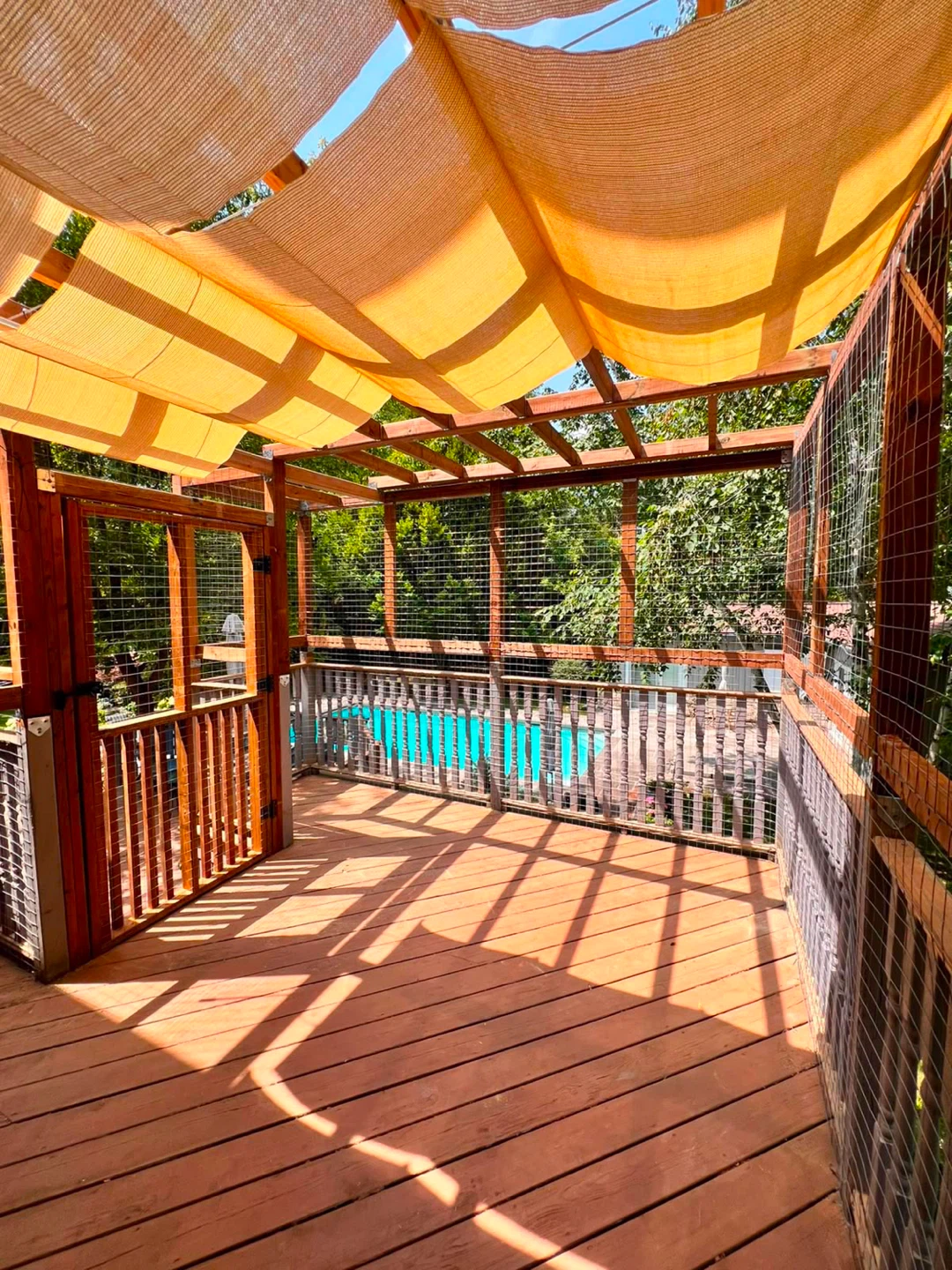 Catio