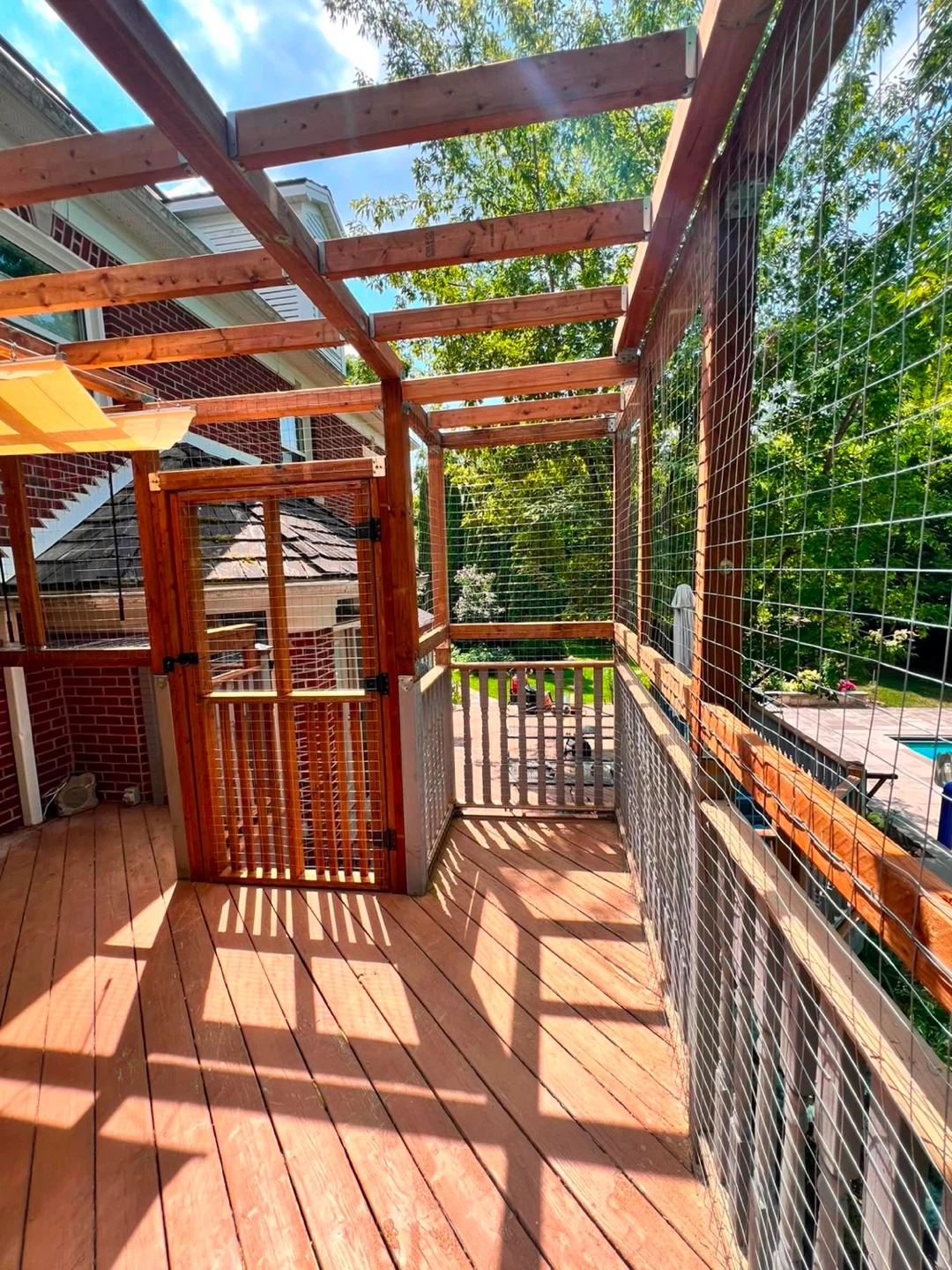 Catio - photo 3