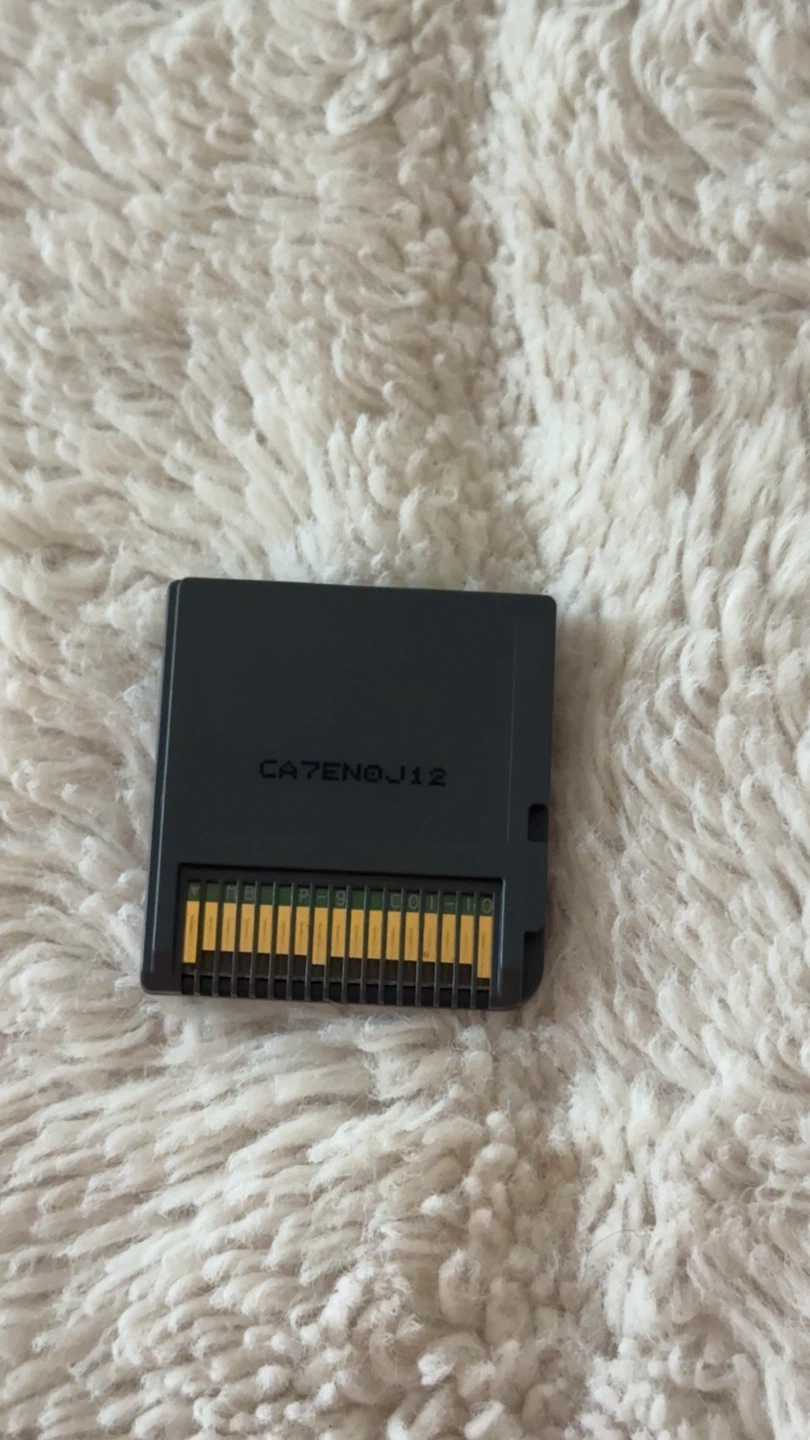 Amazing Adventures: The Forgotten Ruins Nintendo DS - photo 5