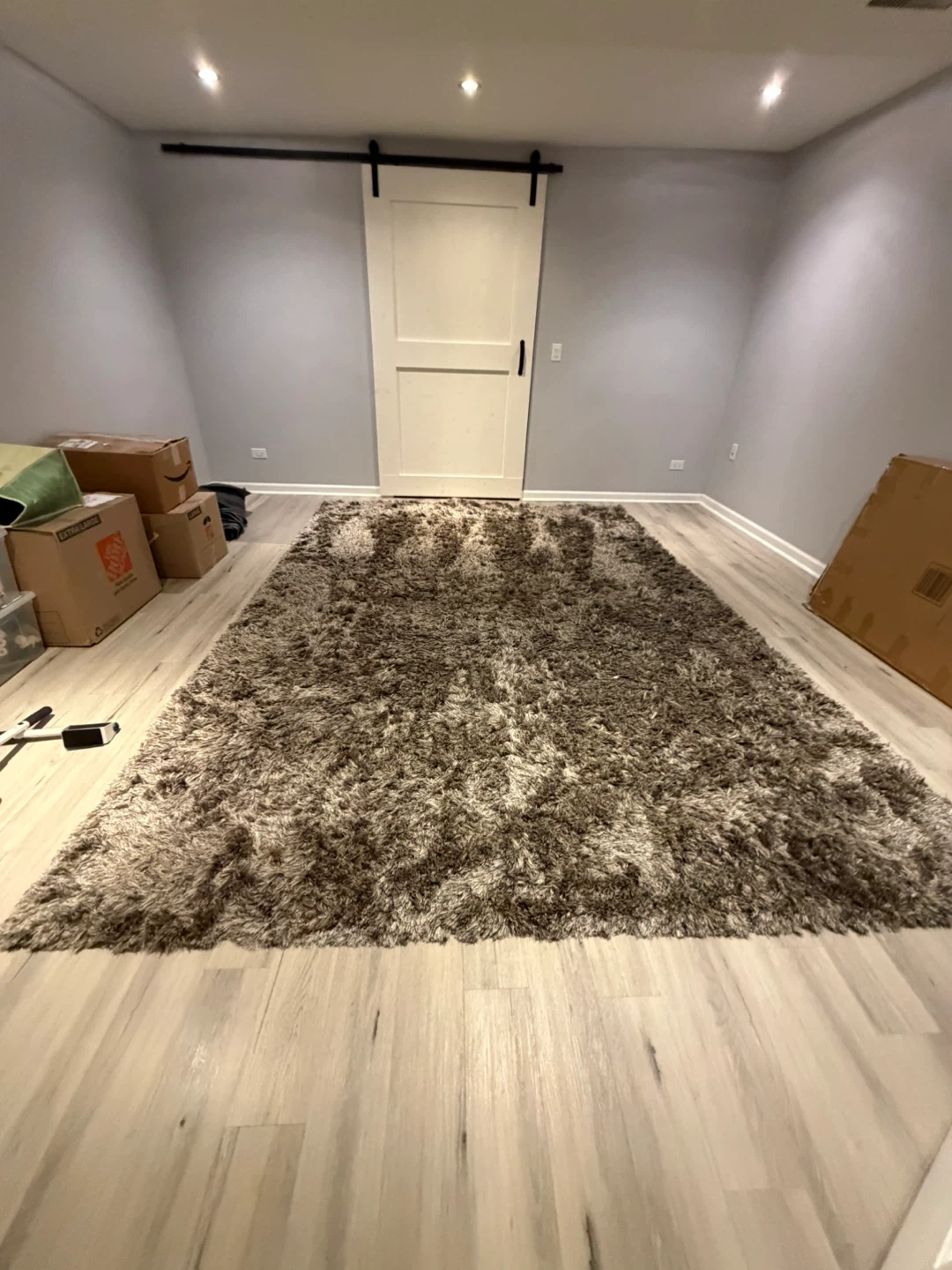 Plush Shag Area Rug from Savafieh - 9x12 - photo 4