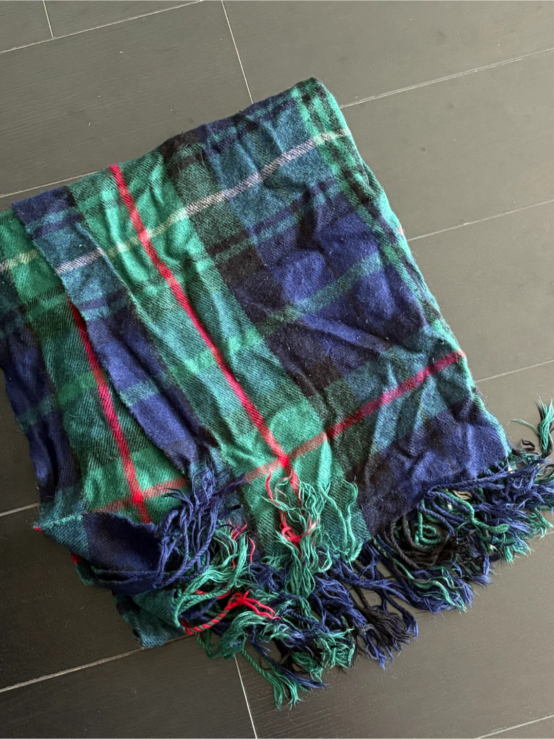Plaid Scarf with Fringes