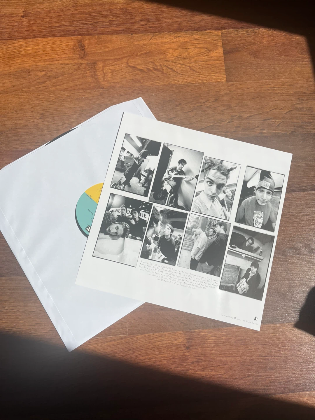 Green Day Dookie Vinyl - photo 3