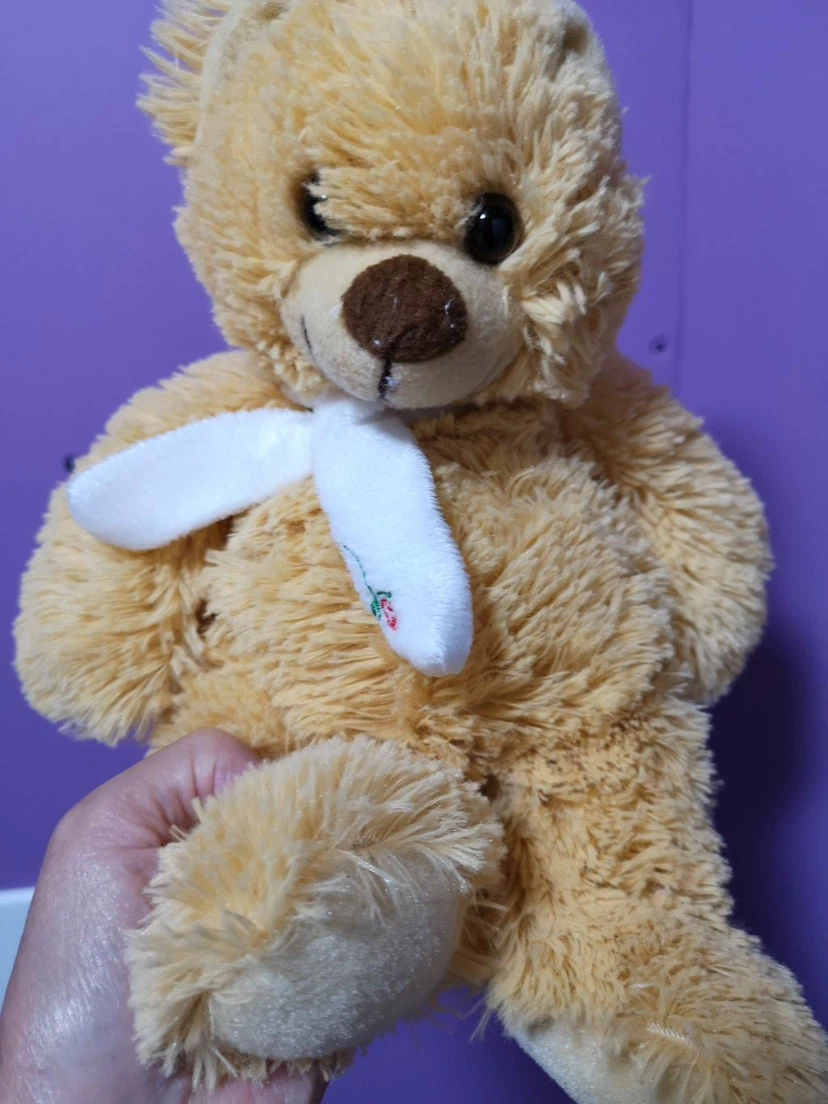 Plush Teddy Bear with White Scarf