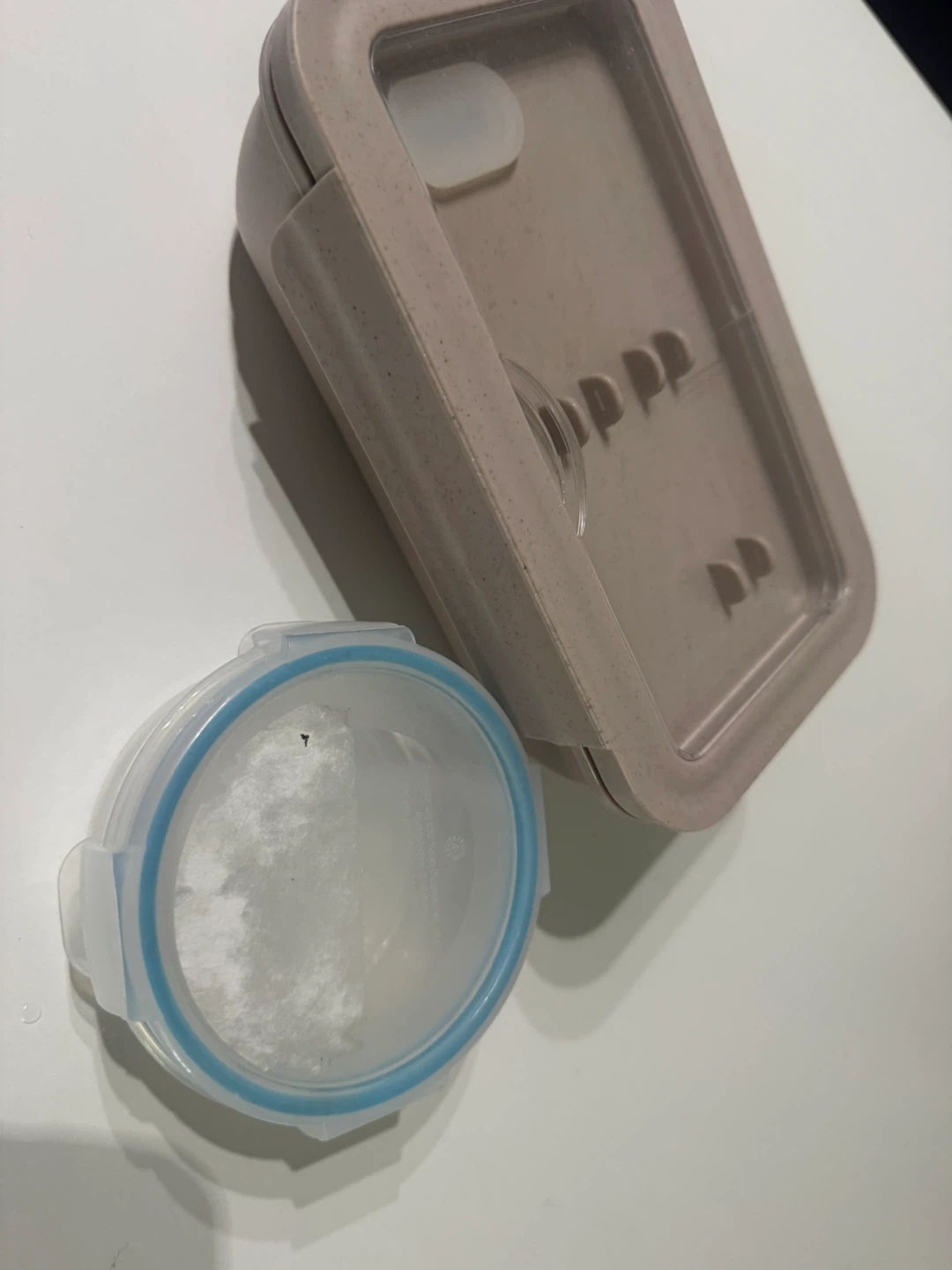 Wheat Straw Lunch Box