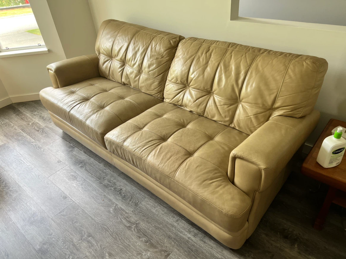 Free Couch and Love Seat