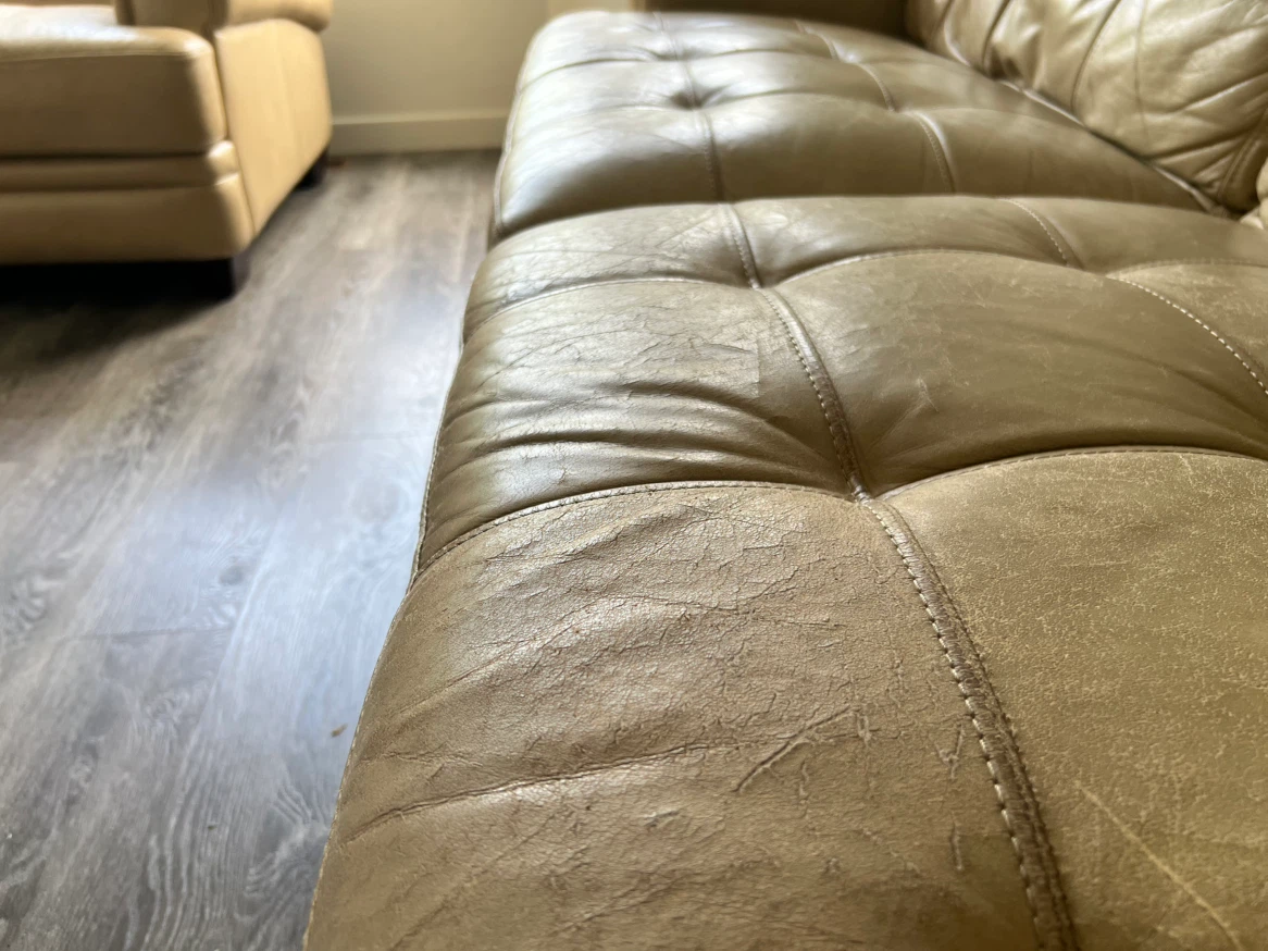 Free Couch and Love Seat - photo 3
