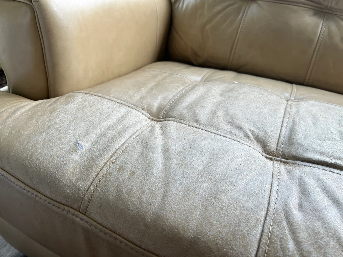 Free Couch and Love Seat - photo 4