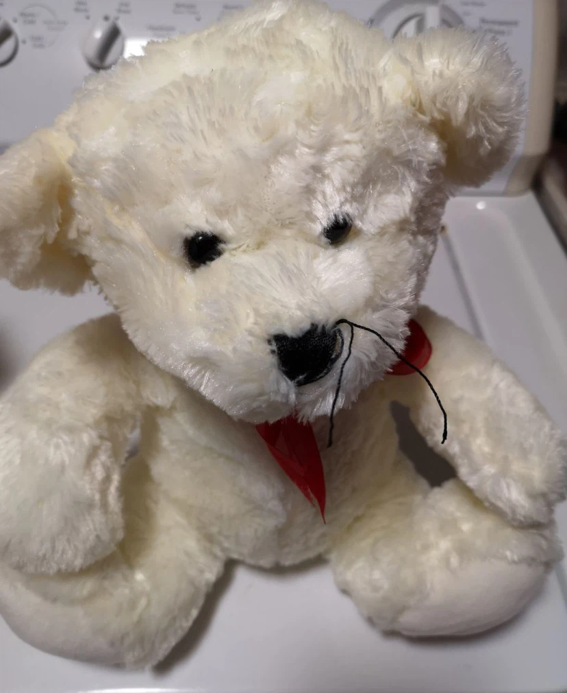 Cream Teddy Bear with Red Ribbon
