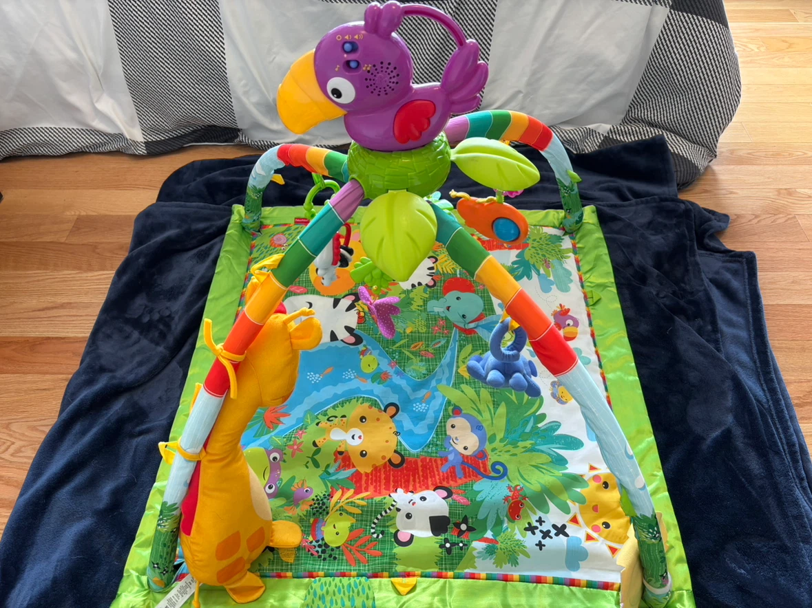 Fisher-Price Rainforest Music & Lights Deluxe Gym