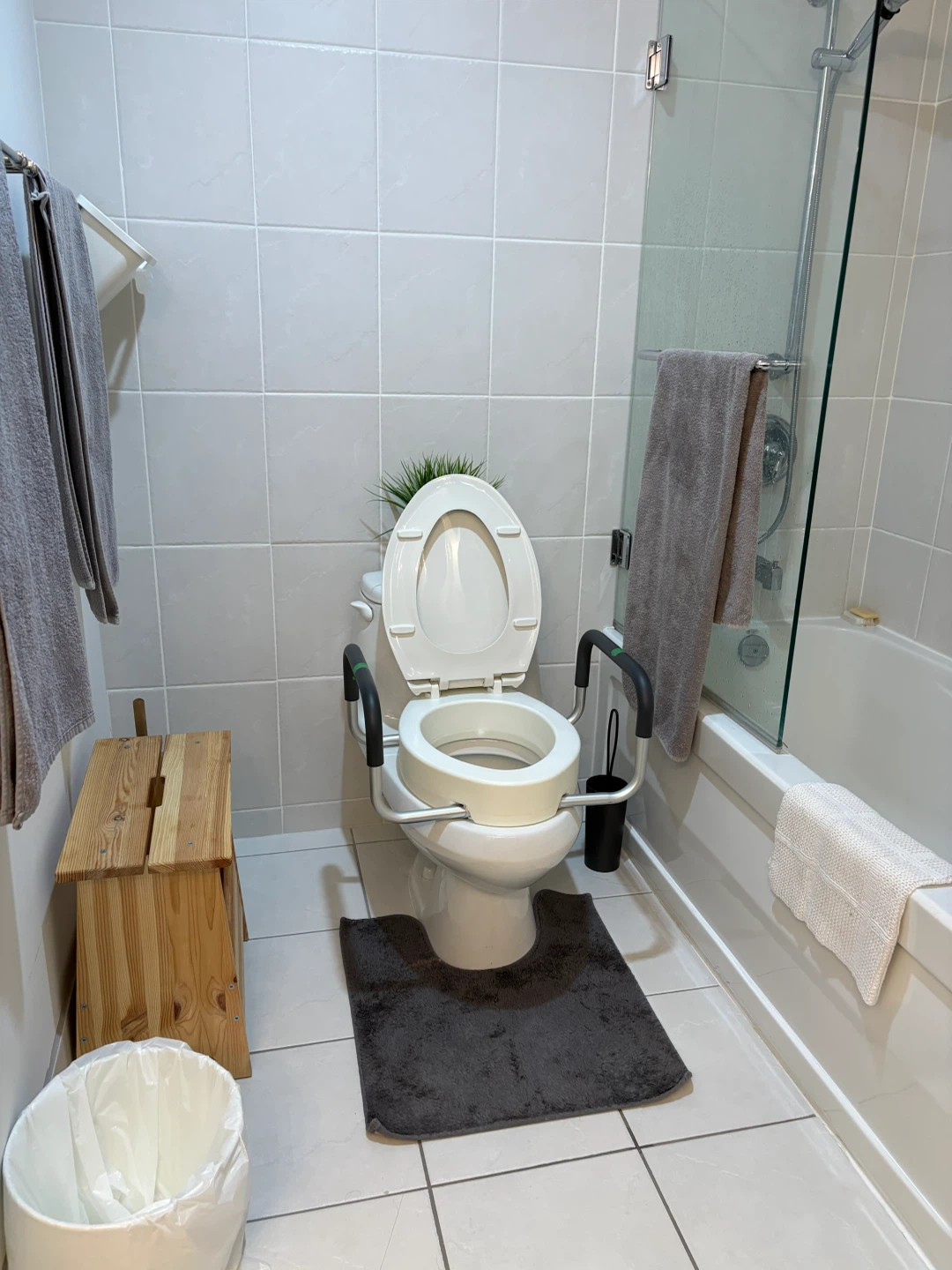 free disability toilet arms