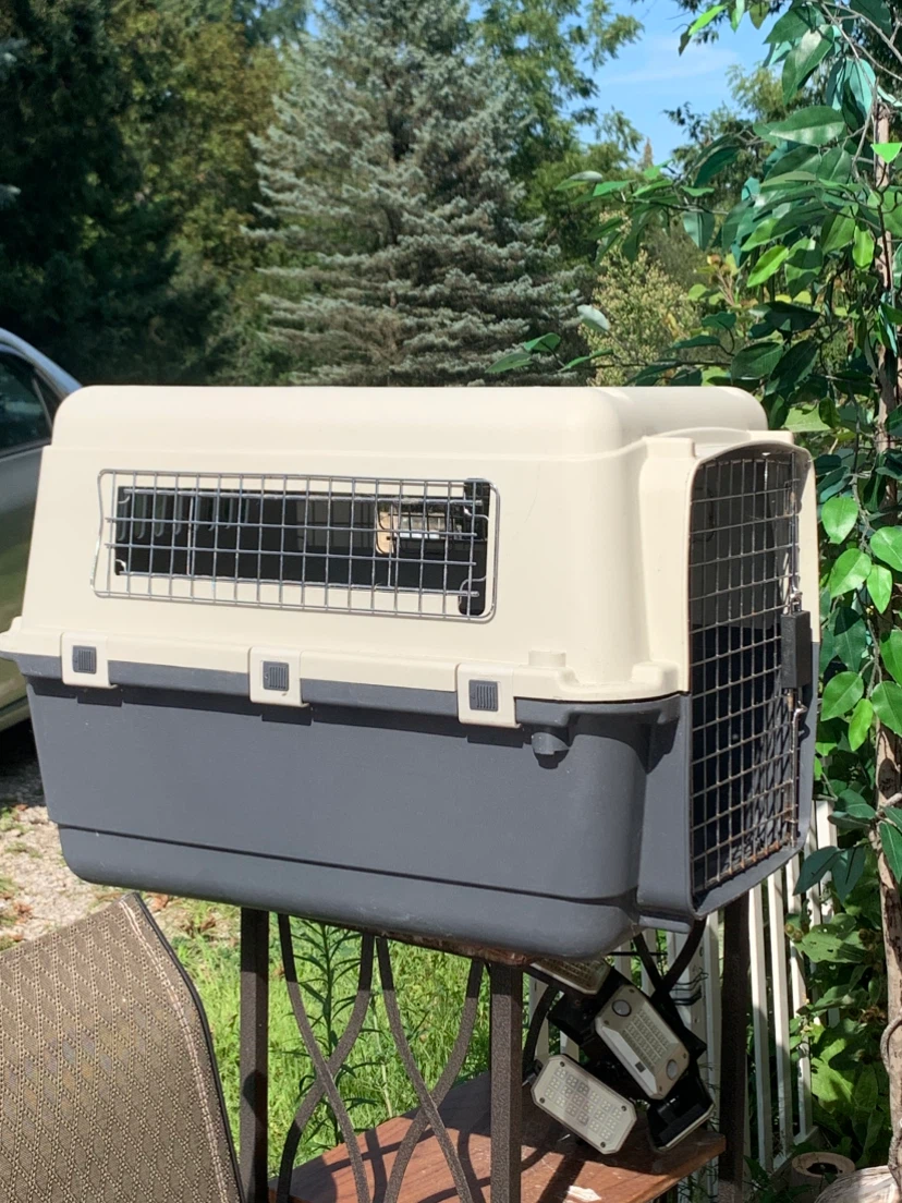 Pet Carrier Crate