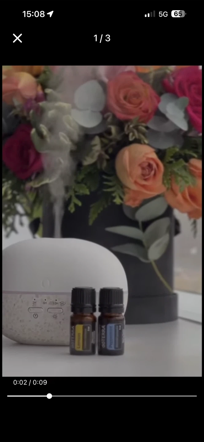 dōTERRA Pebble Ultrasonic Diffuser