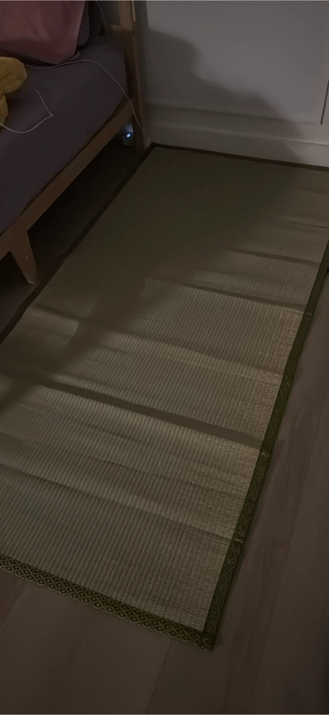 (Move out sale) Japanese Tatami Mat