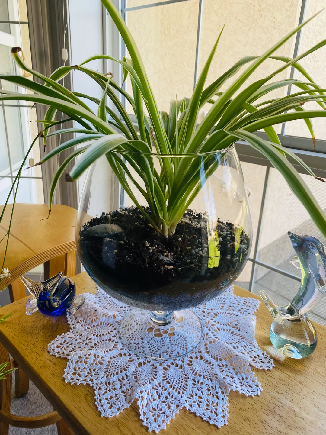 Spider plants with free 2  figurines - photo 2