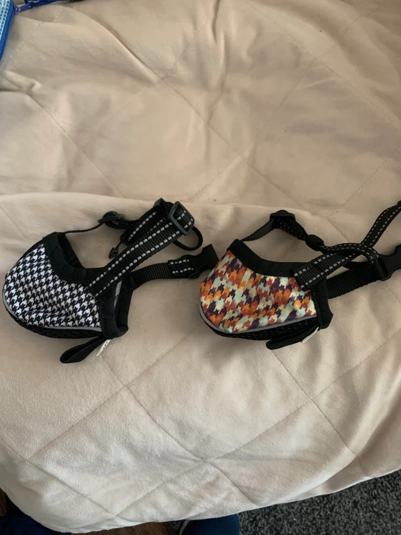 Two Dog Harnesses