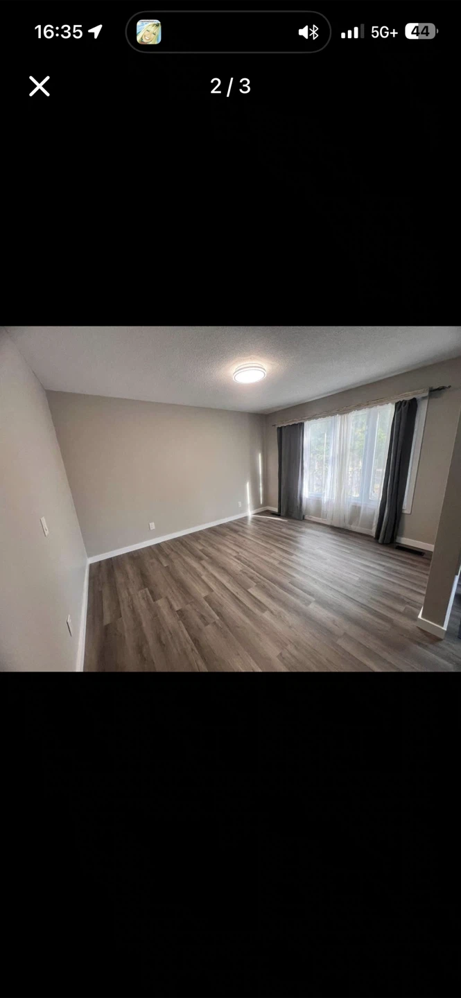 Vinly Flooring - photo 2