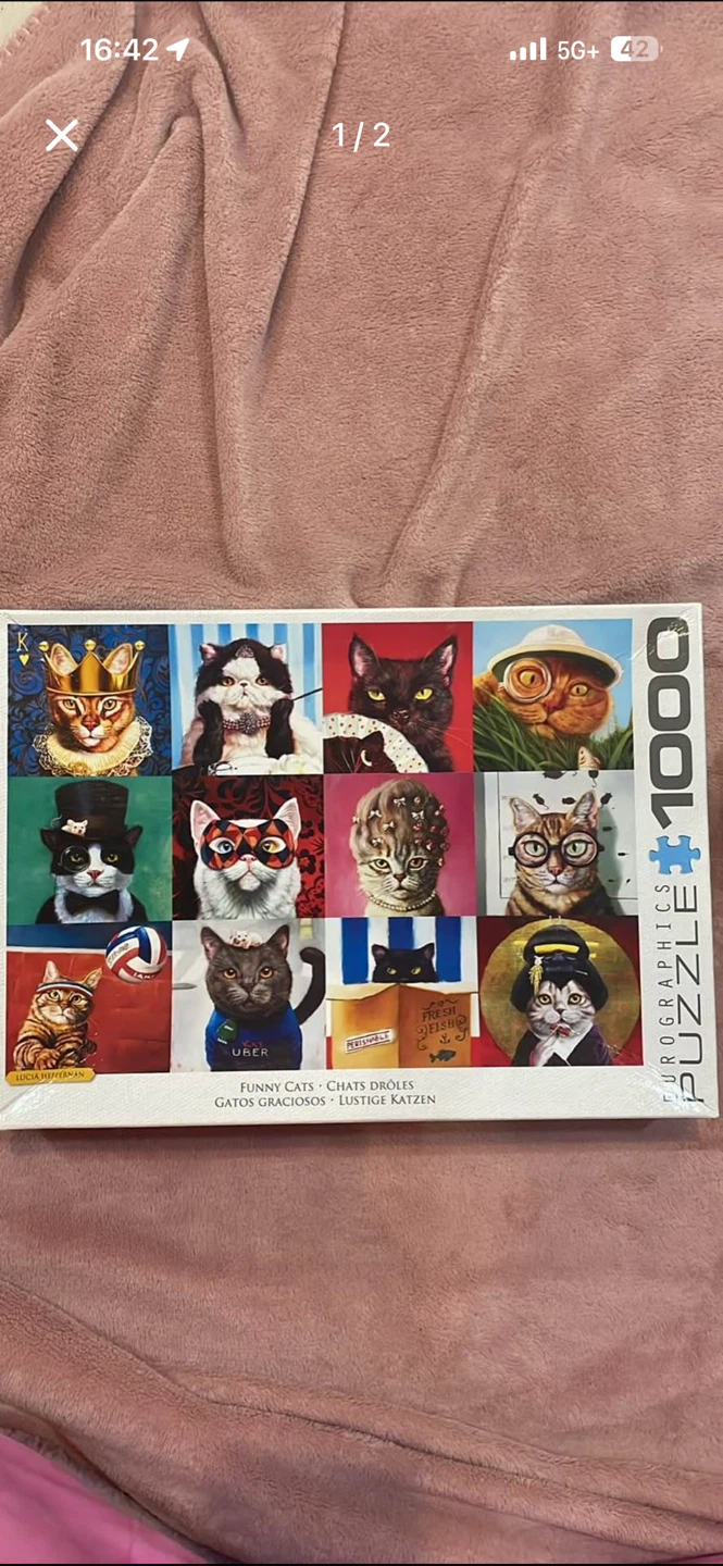 Eurographics Funny Cats 1000 Piece Puzzle