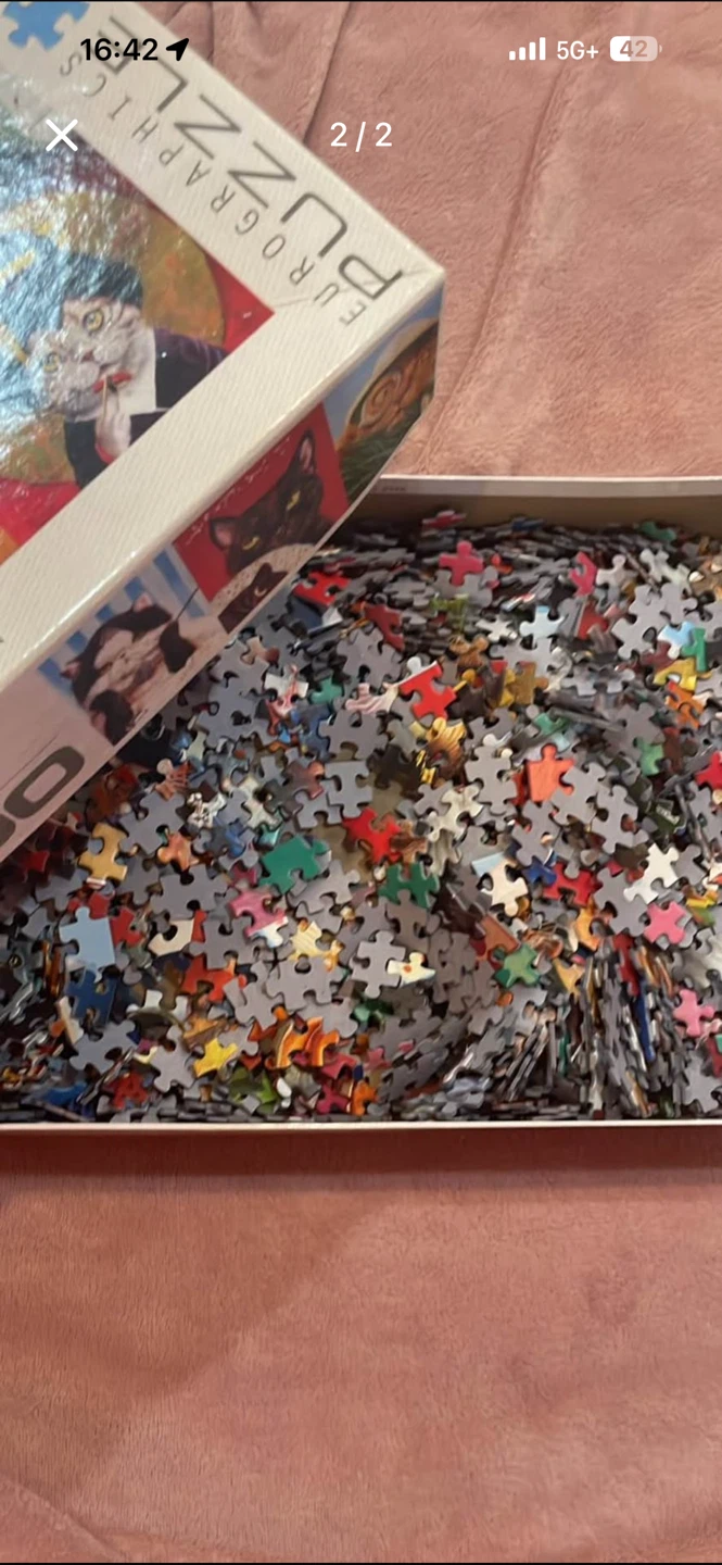 Eurographics Funny Cats 1000 Piece Puzzle - photo 2