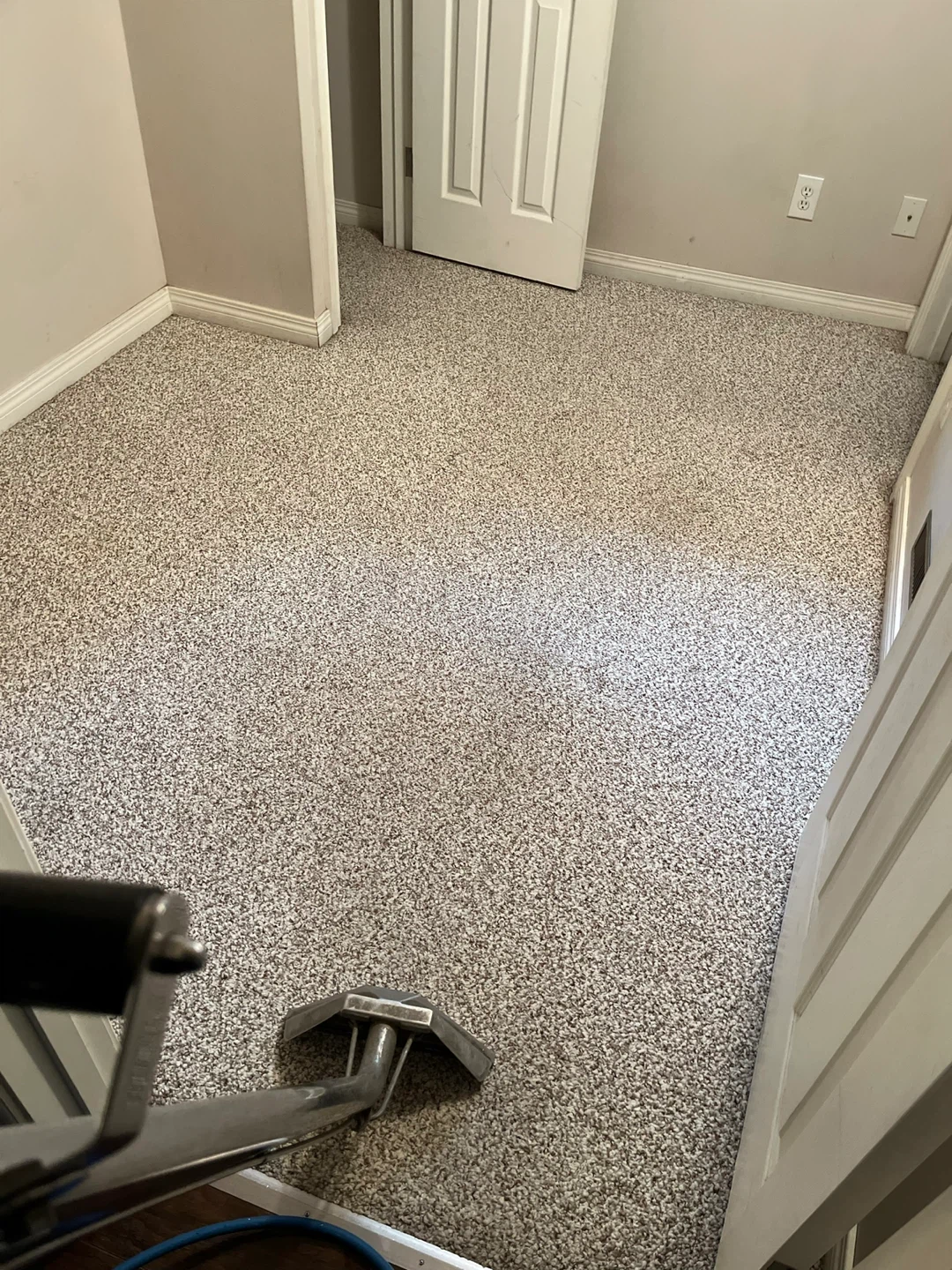 Truckmount Deep Steam Carpet Cleaning Deals - photo 3