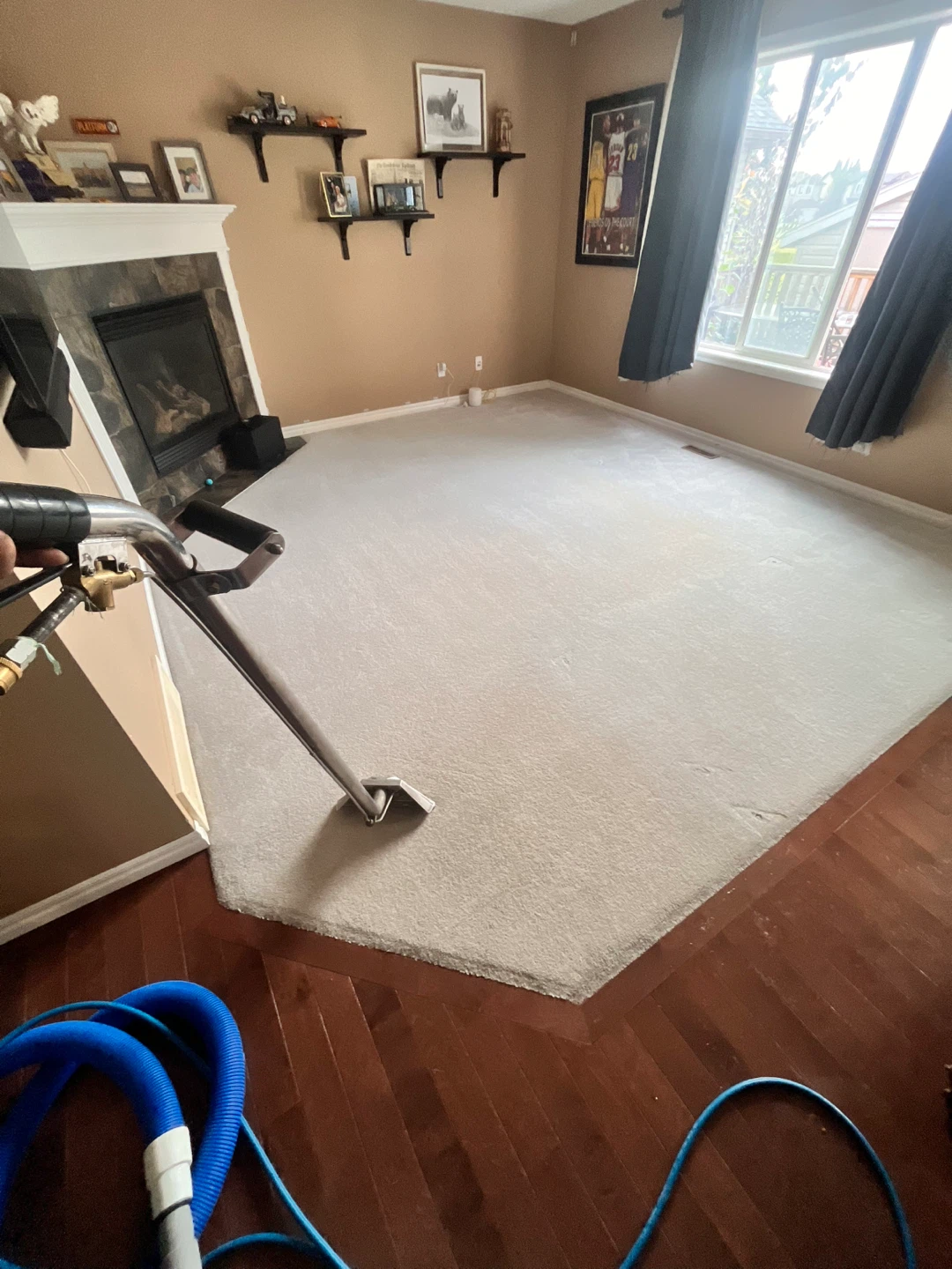 Truckmount Deep Steam Carpet Cleaning Deals - photo 5