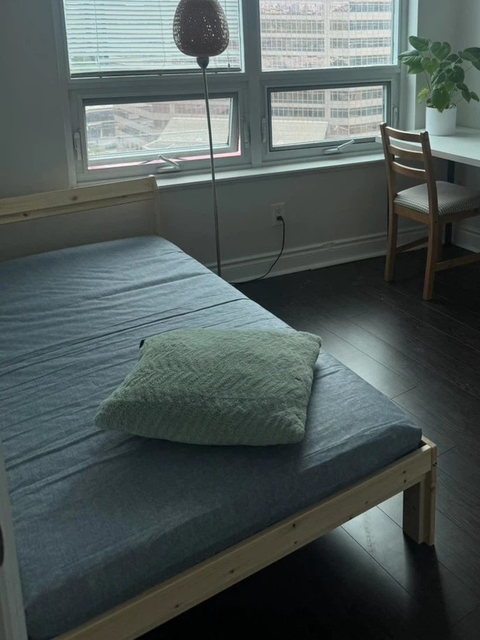 Single Bed Frame with mattress