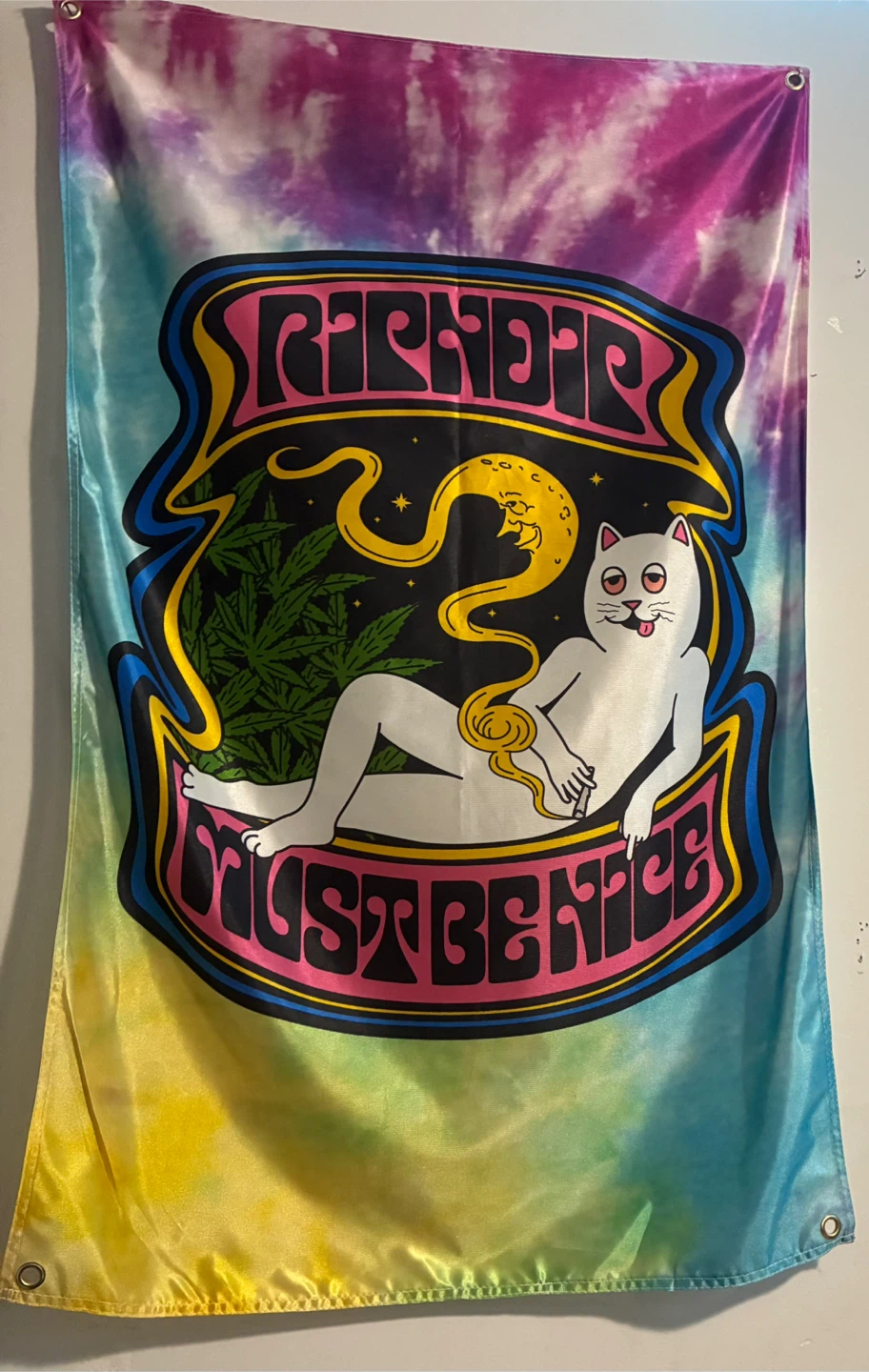 RIPNDIP "IT MUST BE NICE" Tie-Dye Flag