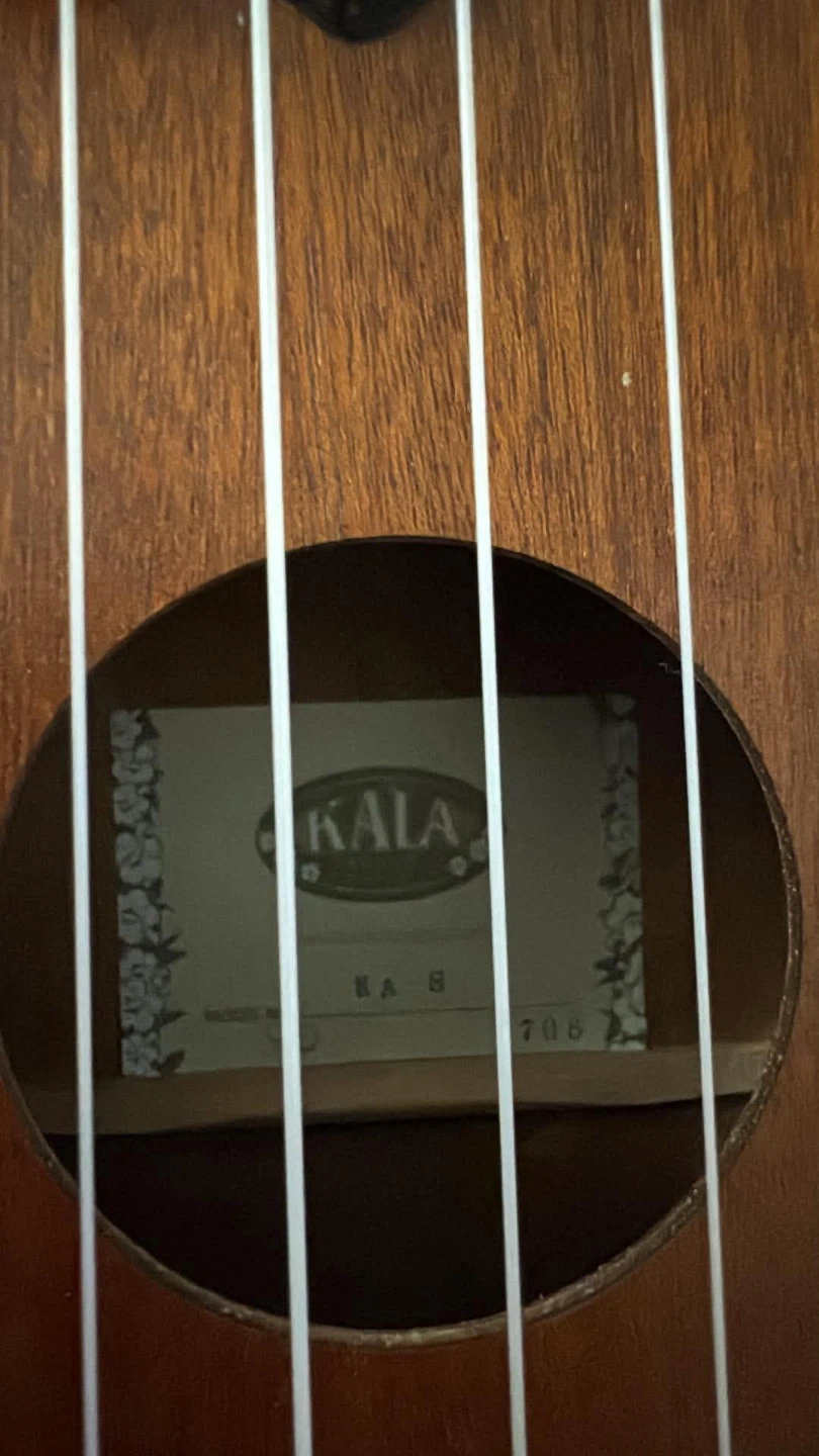 Ukulele with Bag - photo 2