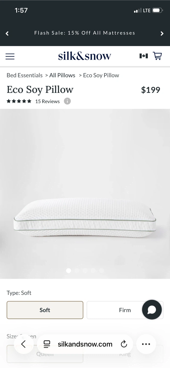 Brand New Silk & Snow Eco Soy Pillows – Queen, Soft 🌿