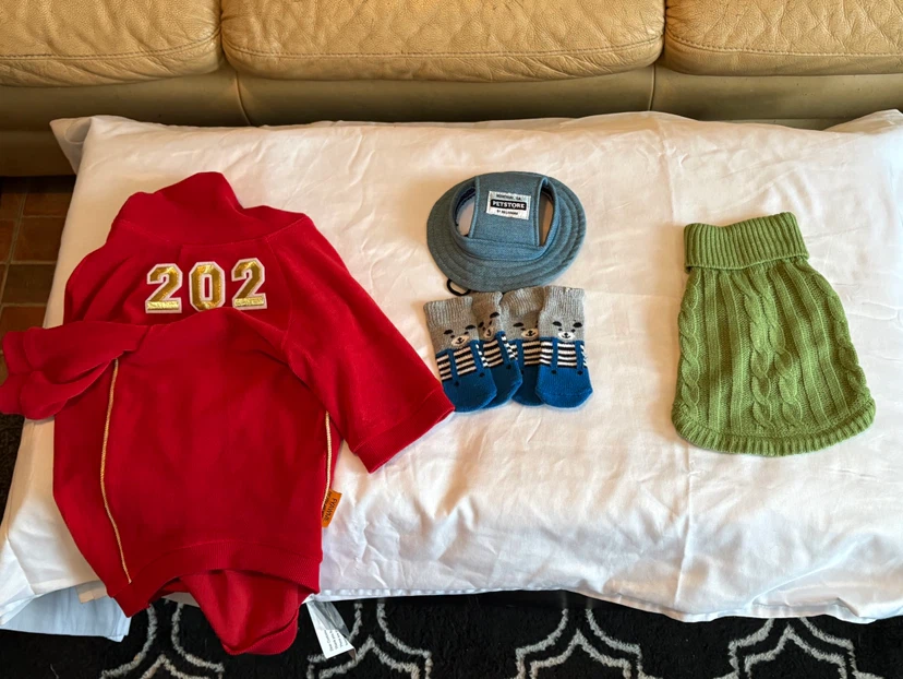 Red Dog Sweater, Blue Dog Socks & Green Dog Sweater Set