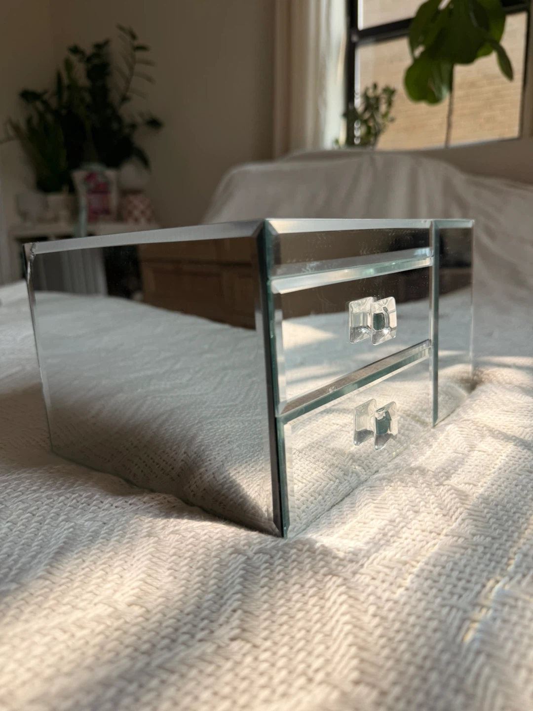 Mirrored Vanity Organizer with 2 Drawers