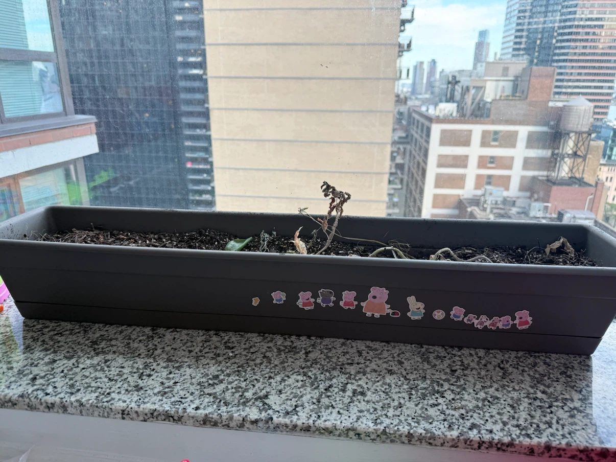 Beautiful Window Planter