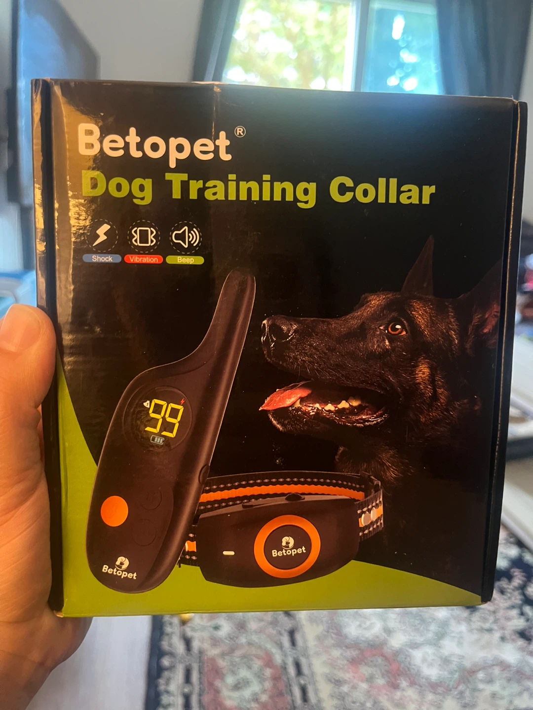 Dog Training Collar with Remote