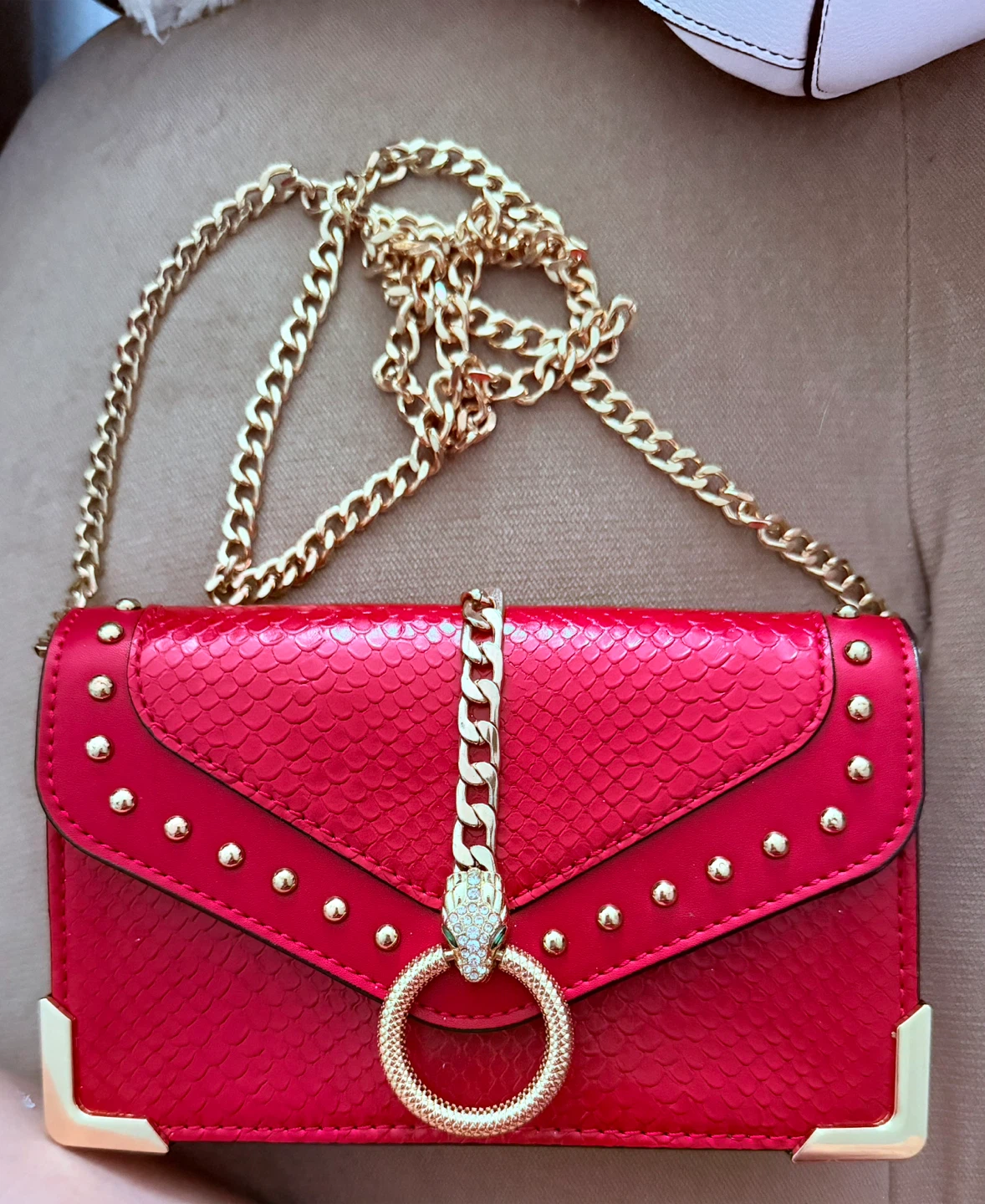 ALDO Collection Red Snake Crossbody Bag