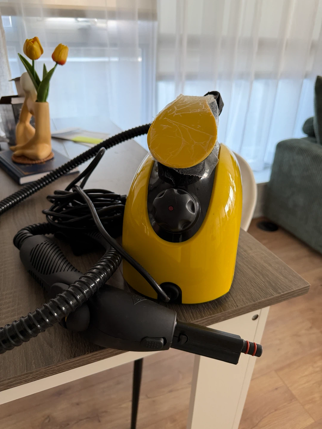 Steam Cleaner