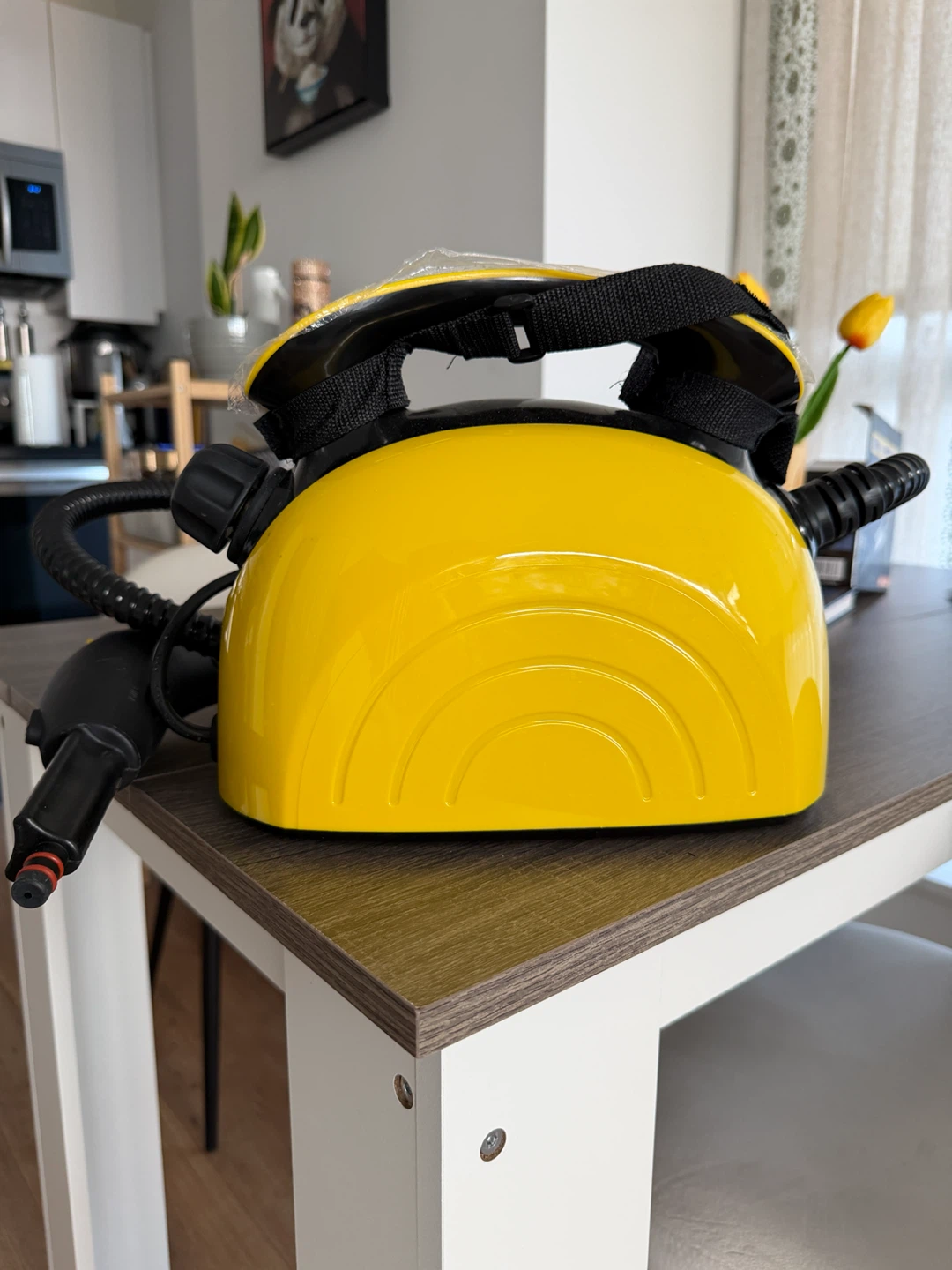 Steam Cleaner - photo 2
