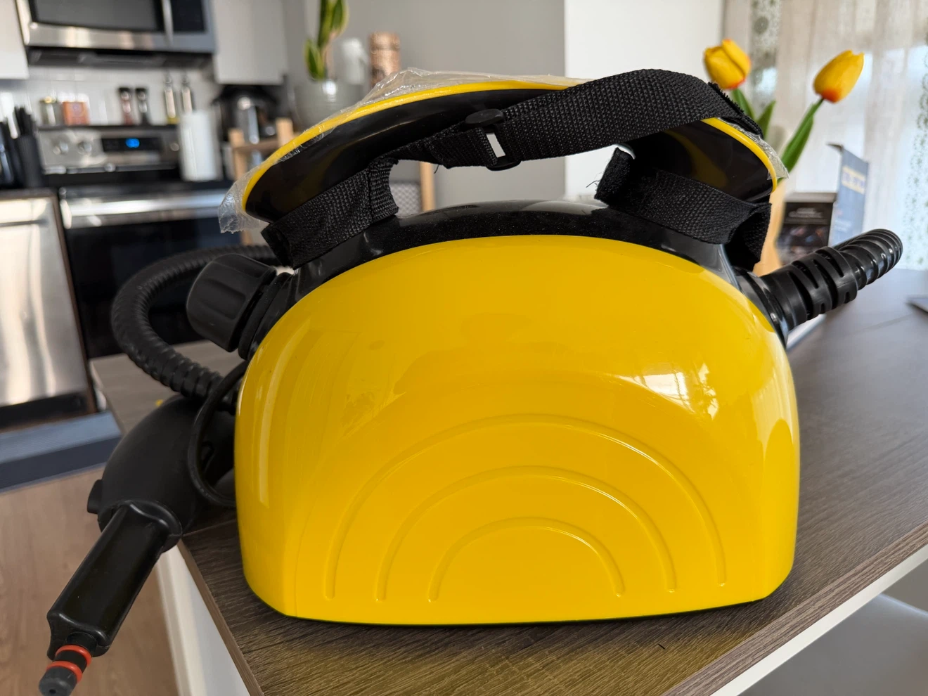 Steam Cleaner - photo 3