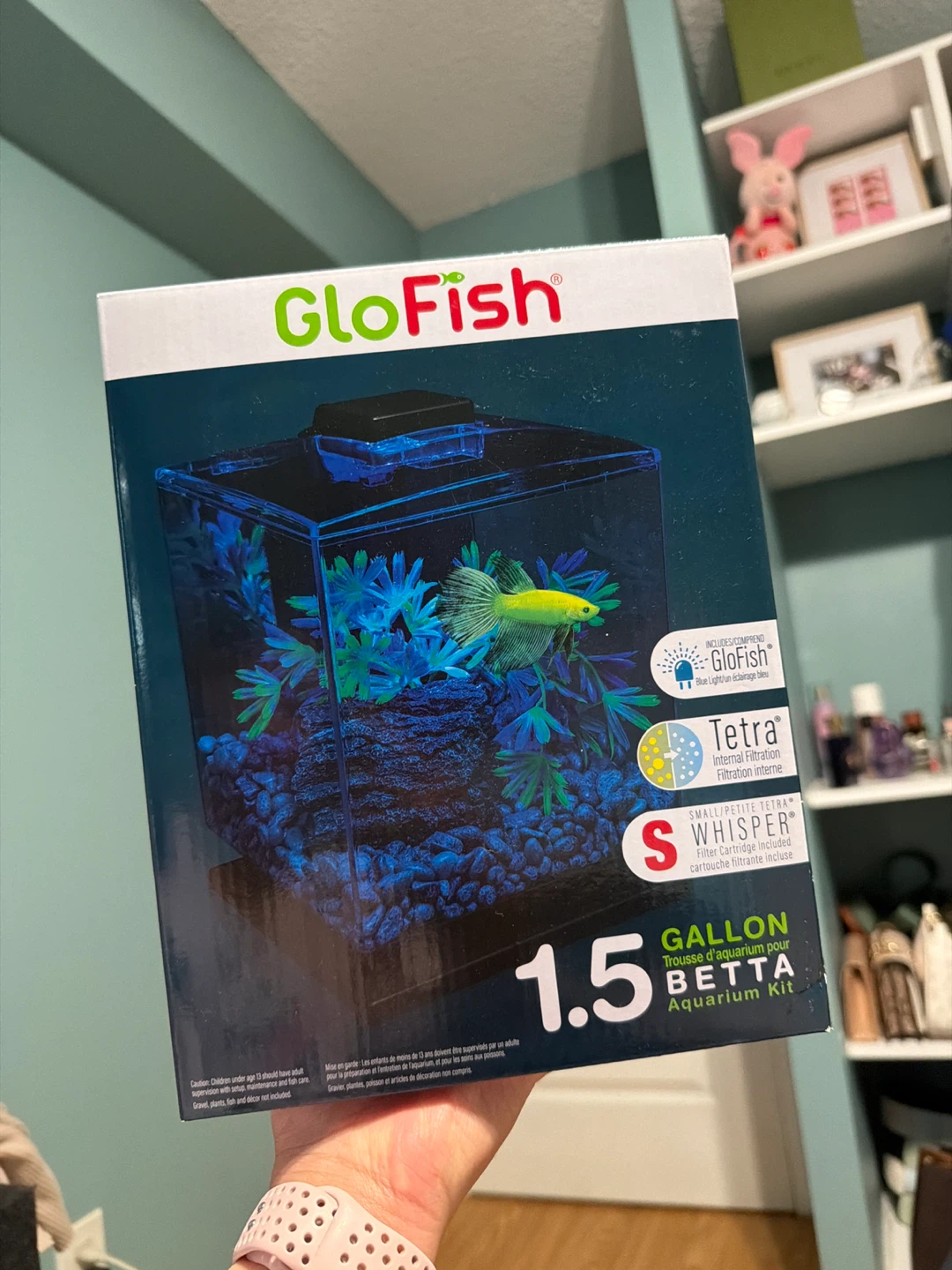 GloFish 1.5 Gallon Betta Aquarium Kit - photo 2