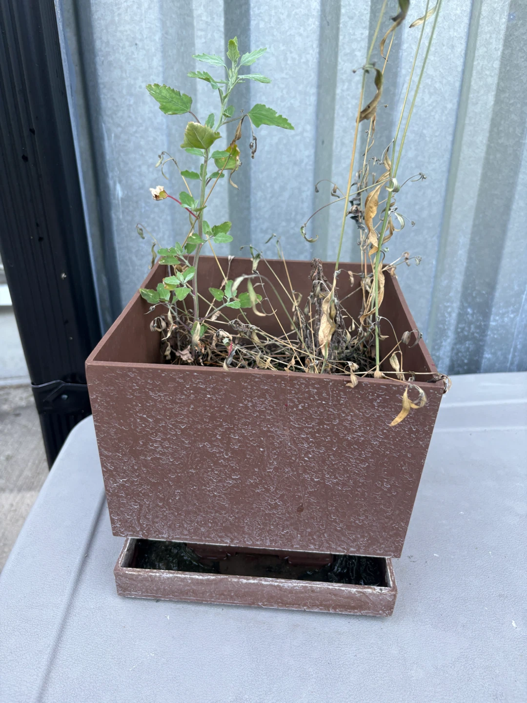 Brown Rectangular Planter with Drip Tray
