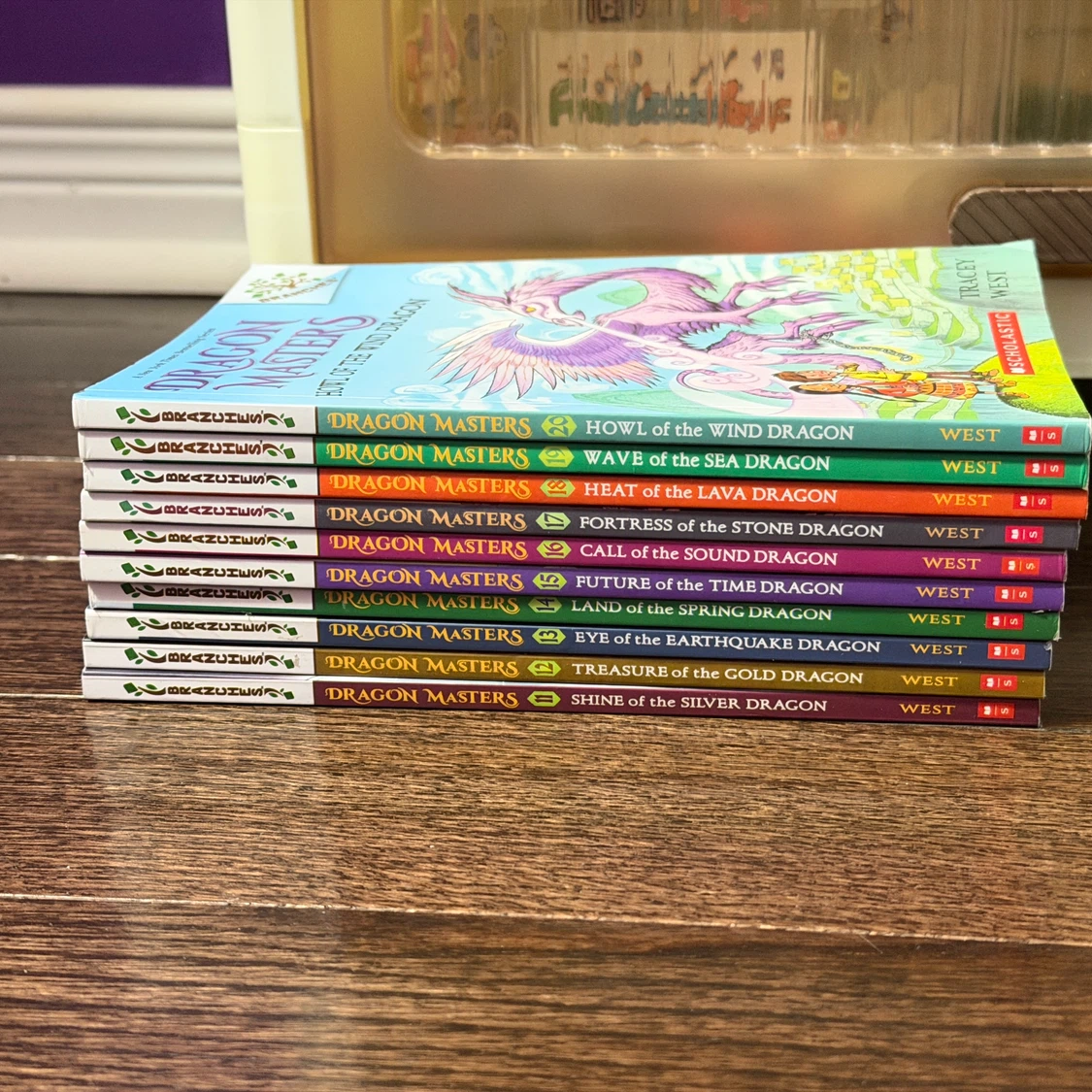 Dragon Masters Book Series by Tracey West (9 Books)