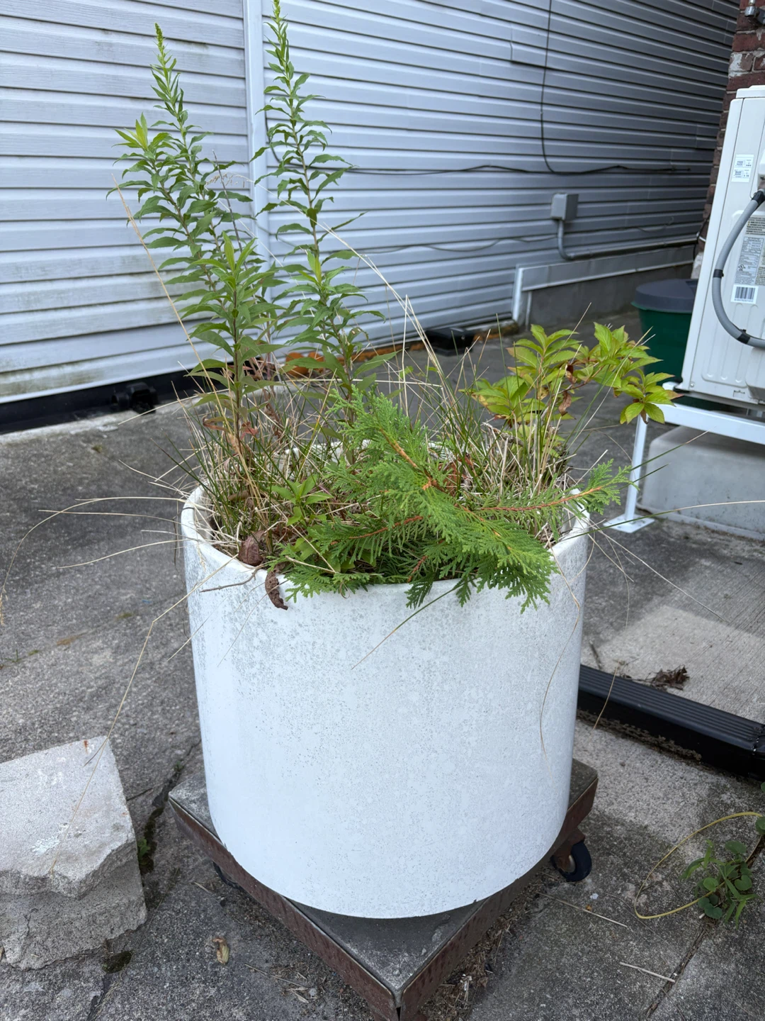 HUGE White Ceramic Planter Pot with Stand