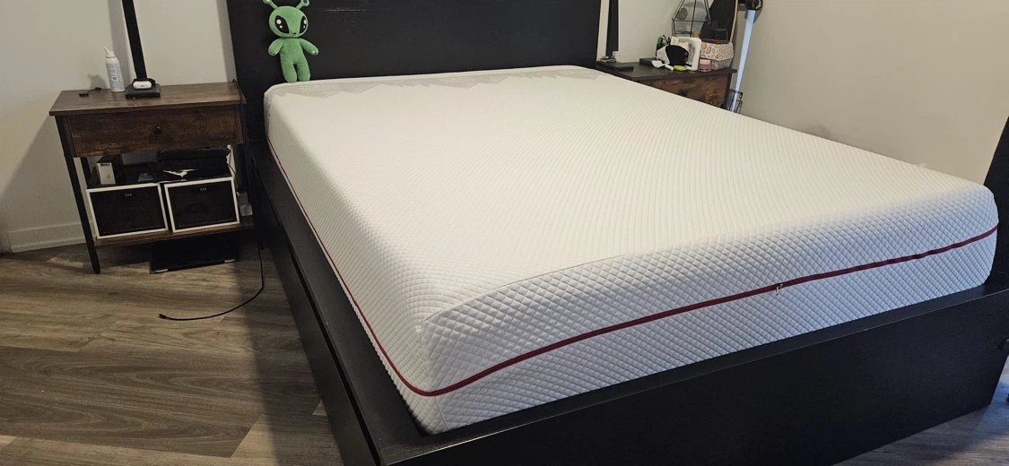 Douglas queen size mattress (prize negotiable) - photo 5