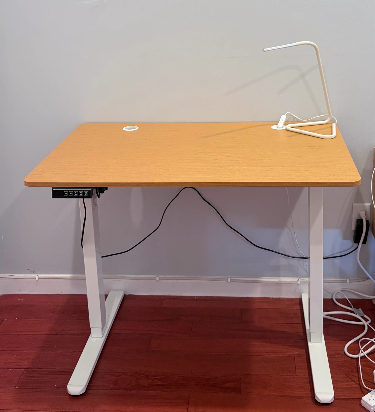 Adjustable Standing Desk with LED Lamp