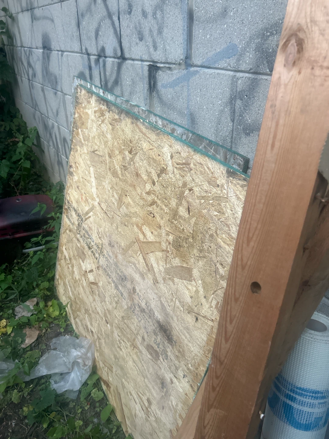 OSB Plywood Sheets - photo 3